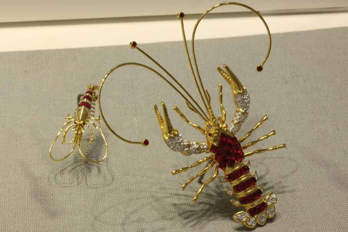 insect-brooch-pins